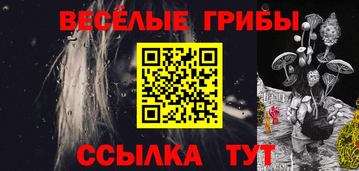 Псилоцибиновые грибы Psilocybine cubensis  Галлюциногенные грибы MAGIC MUSHROOMS  наркошоп  Алексин  Вход с VPN 